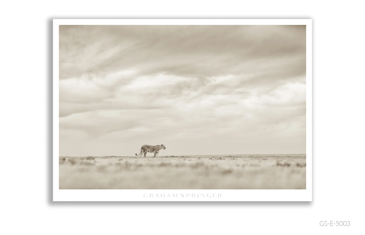 Elegy_024_GS_E_5003_Graham-Springer.jpg