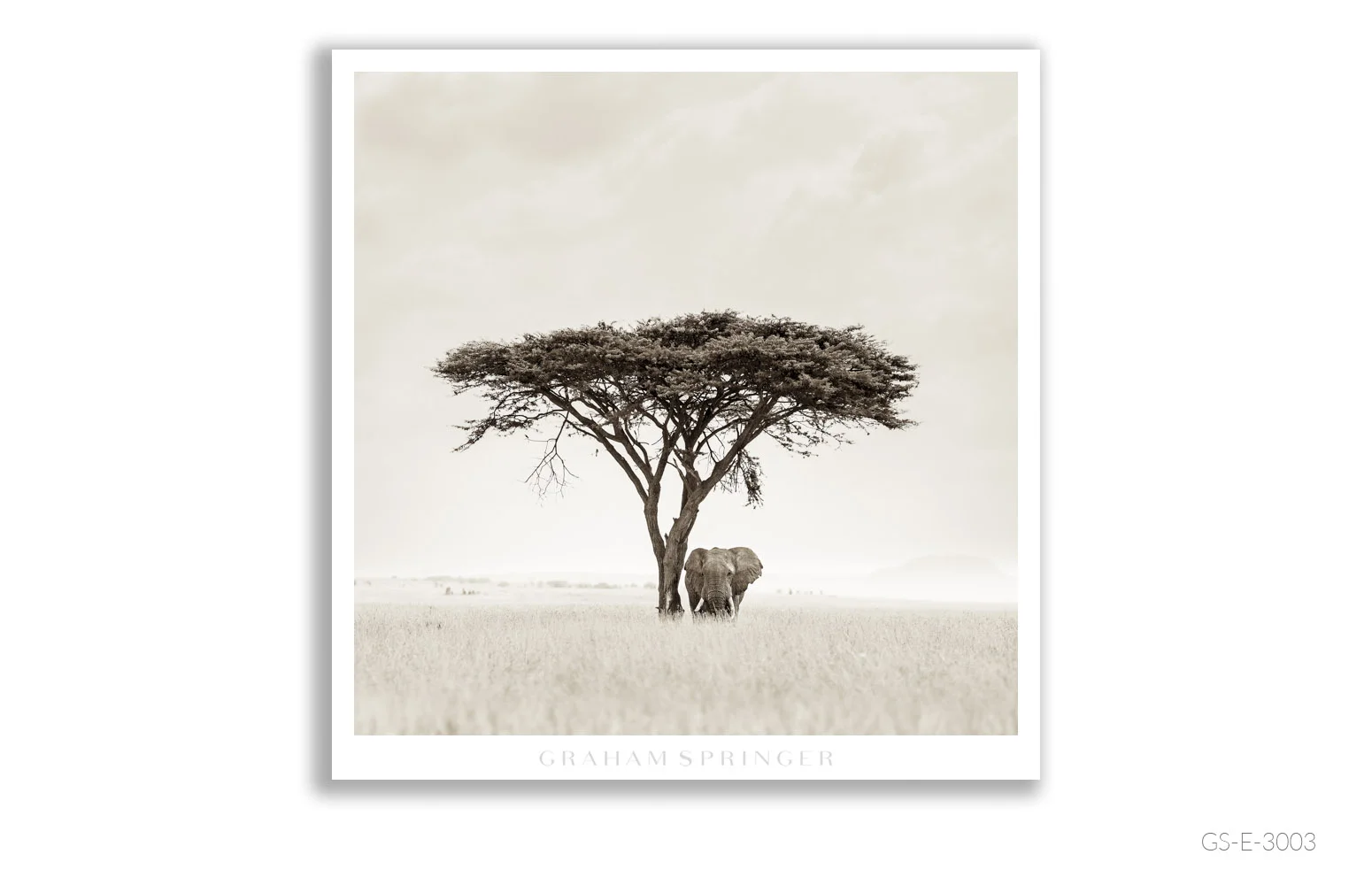 Elegy_026_GS_E_3003_Graham-Springer.jpg