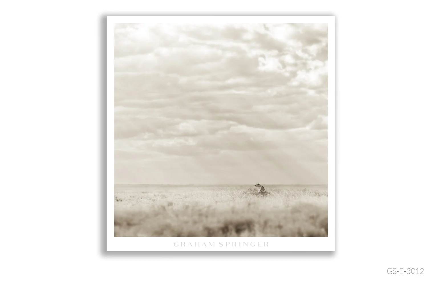 Elegy_030_GS_E_3012_Graham-Springer.jpg