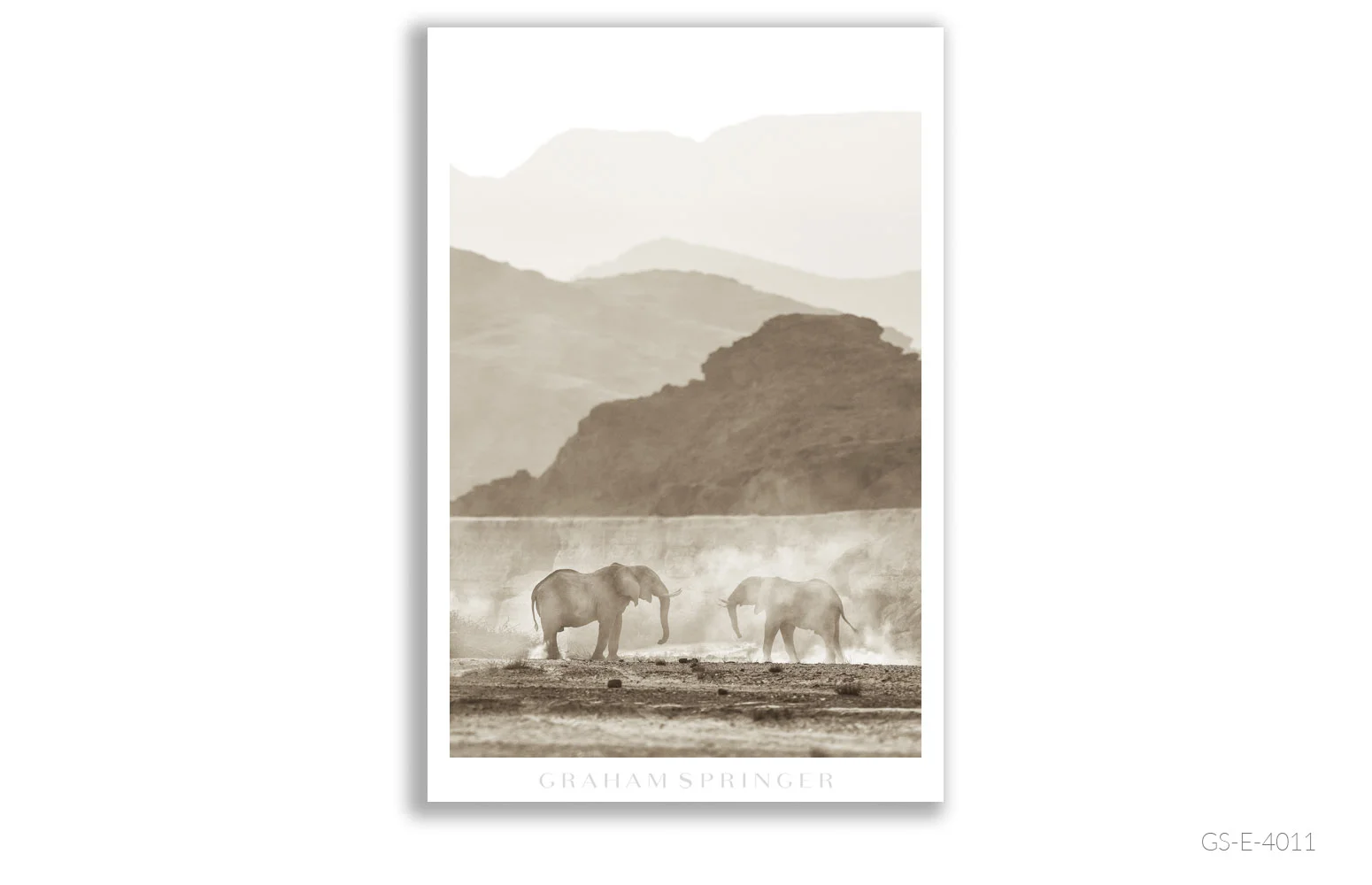 Elegy_033_GS_E_4011_Graham-Springer.jpg