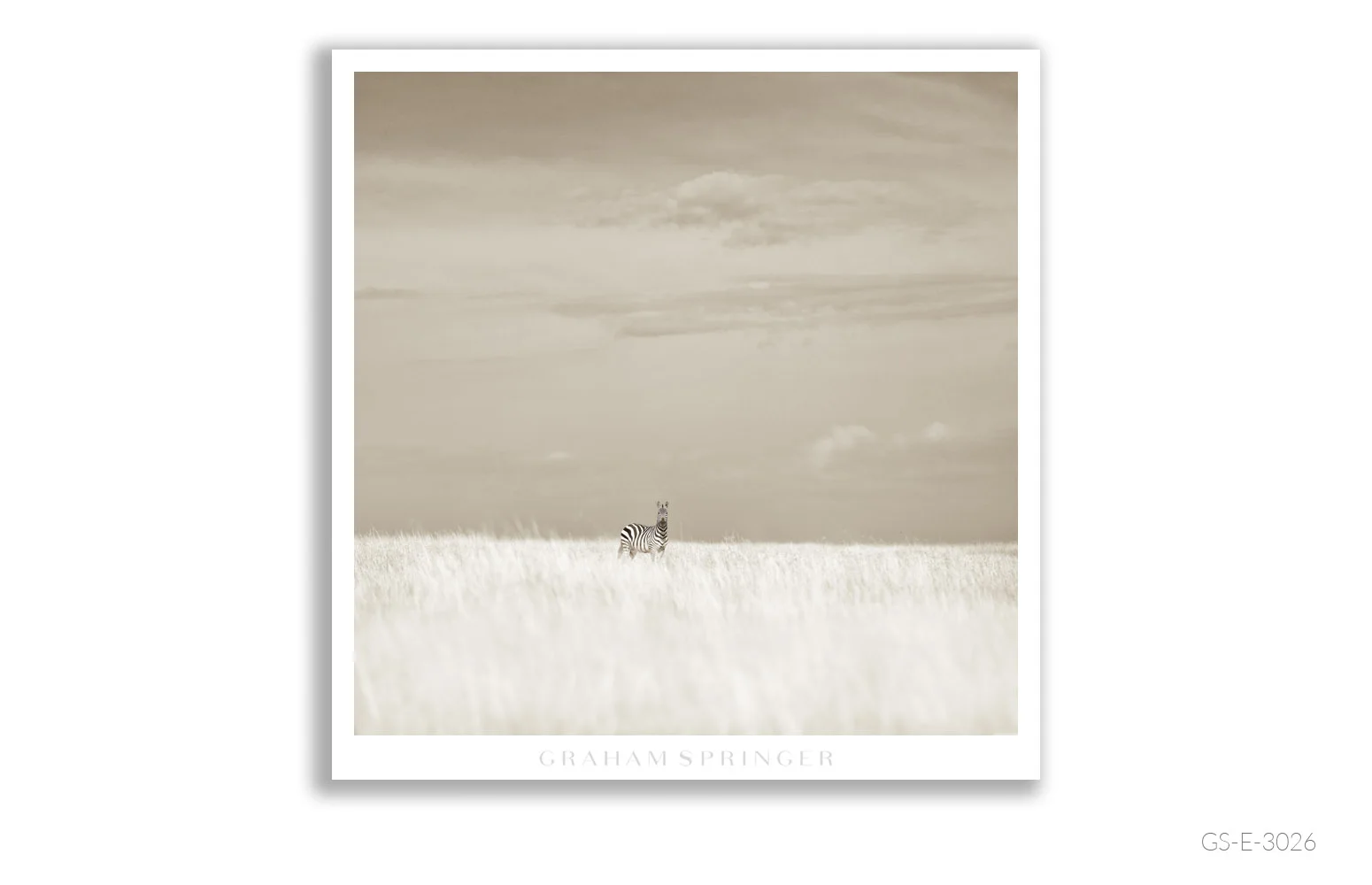 Elegy_036_GS_E_3026_Graham-Springer.jpg
