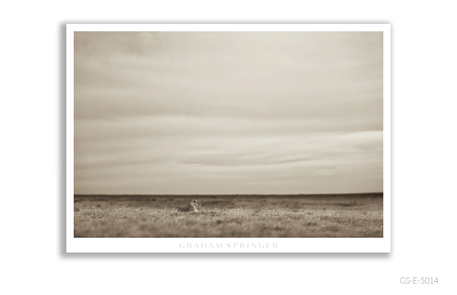 Elegy_038_GS_E_5014_Graham-Springer.jpg