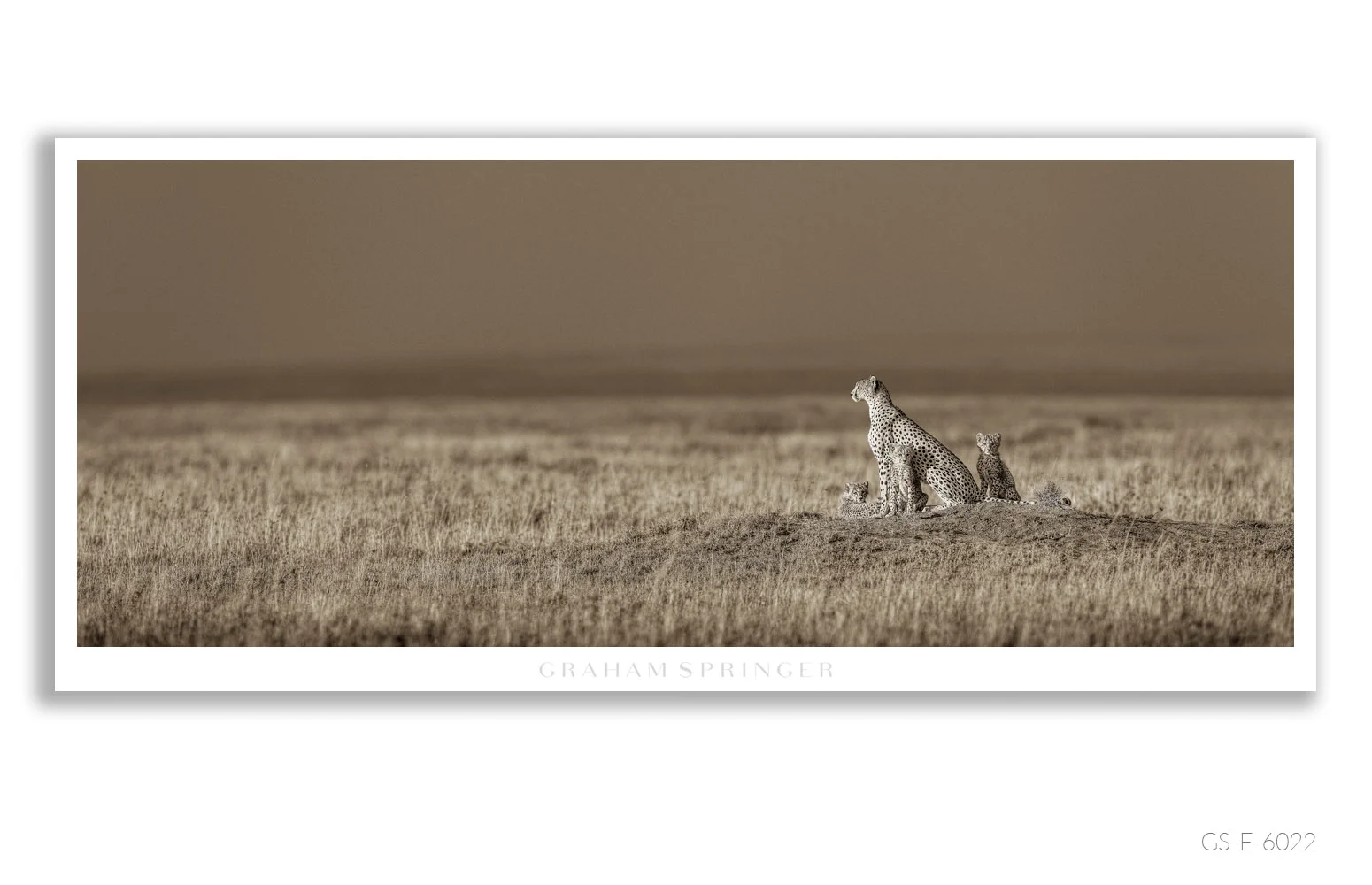 Elegy_037_GS_E_6022_Graham-Springer.jpg