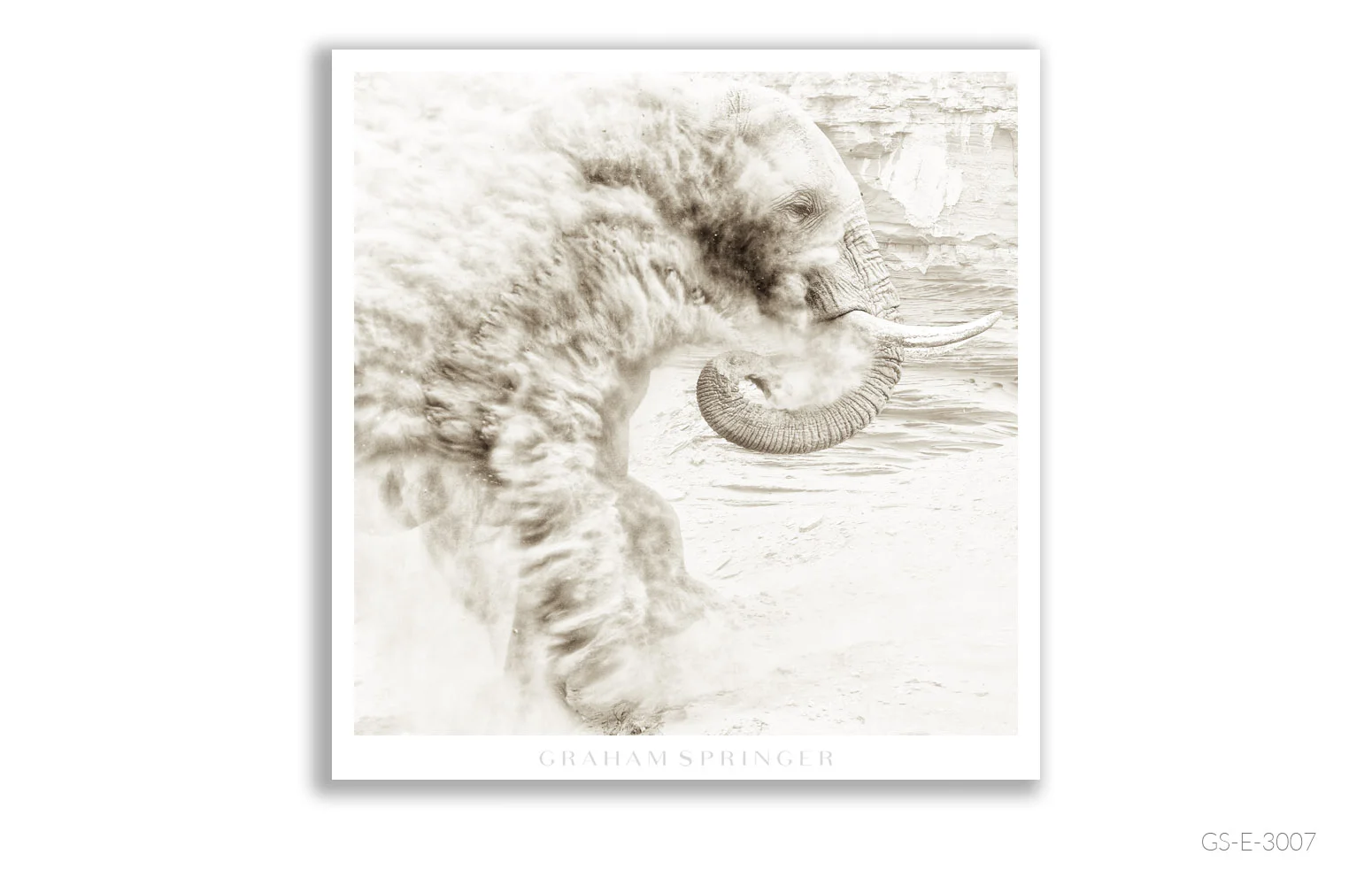 Elegy_039_GS_E_3007_Graham-Springer.jpg