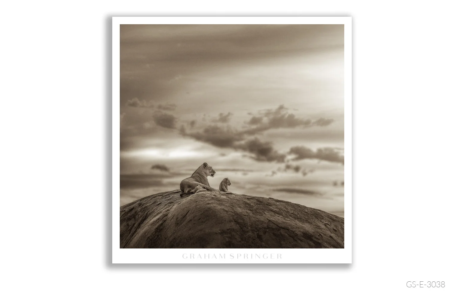 Elegy_054_GS_E_3038_Graham-Springer.jpg