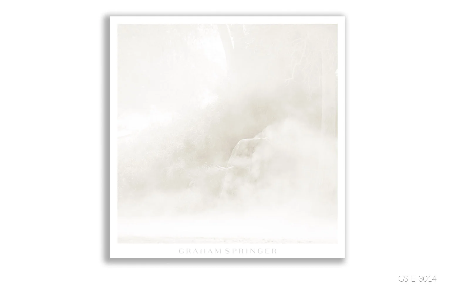 Elegy_058_GS_E_3014_Graham-Springer.jpg
