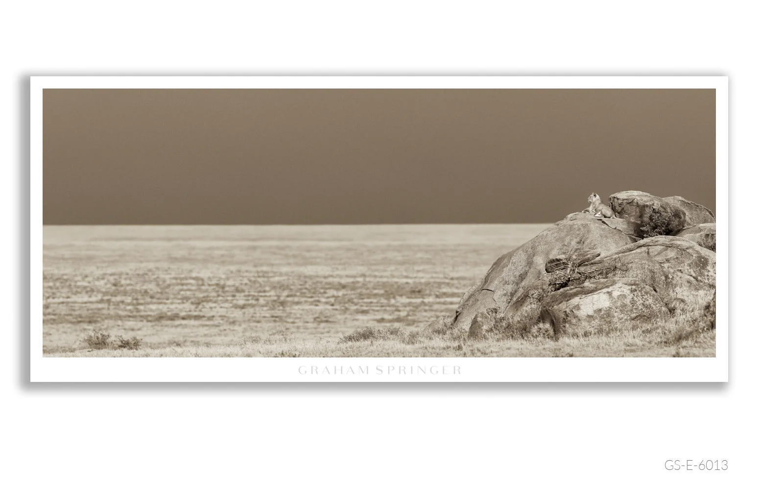 Elegy_059_GS_E_6013_Graham-Springer.jpg