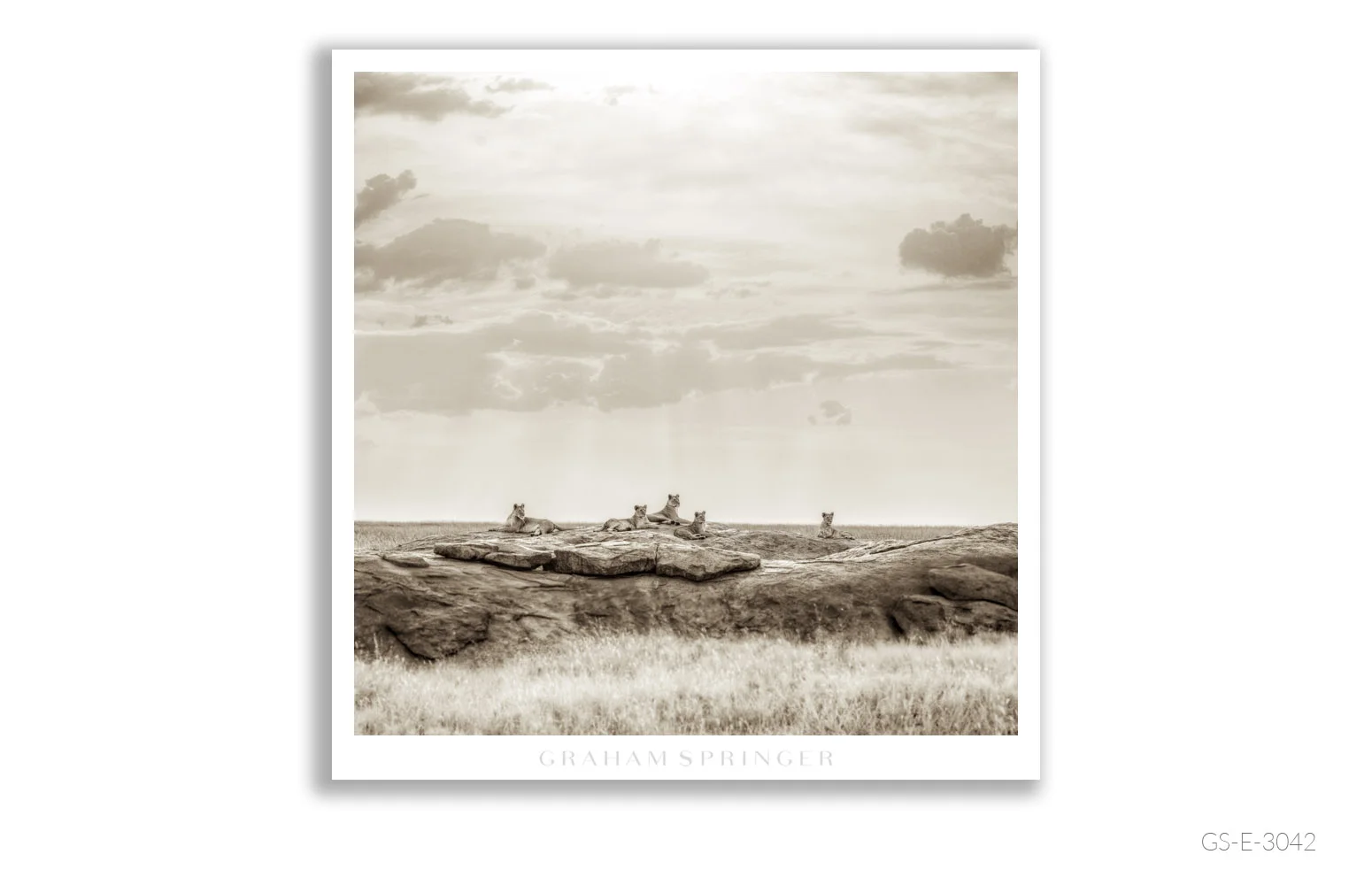 Elegy_060_GS_E_3042_Graham-Springer.jpg