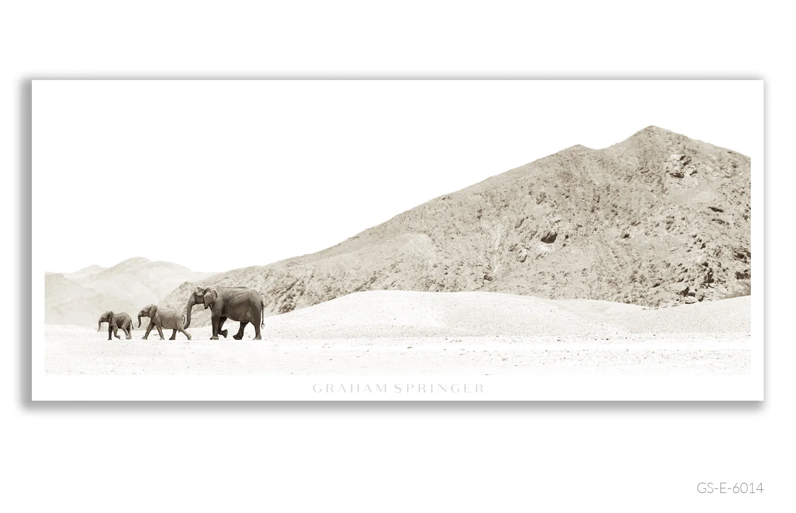 Elegy_061_GS_E_6014_Graham-Springer.jpg