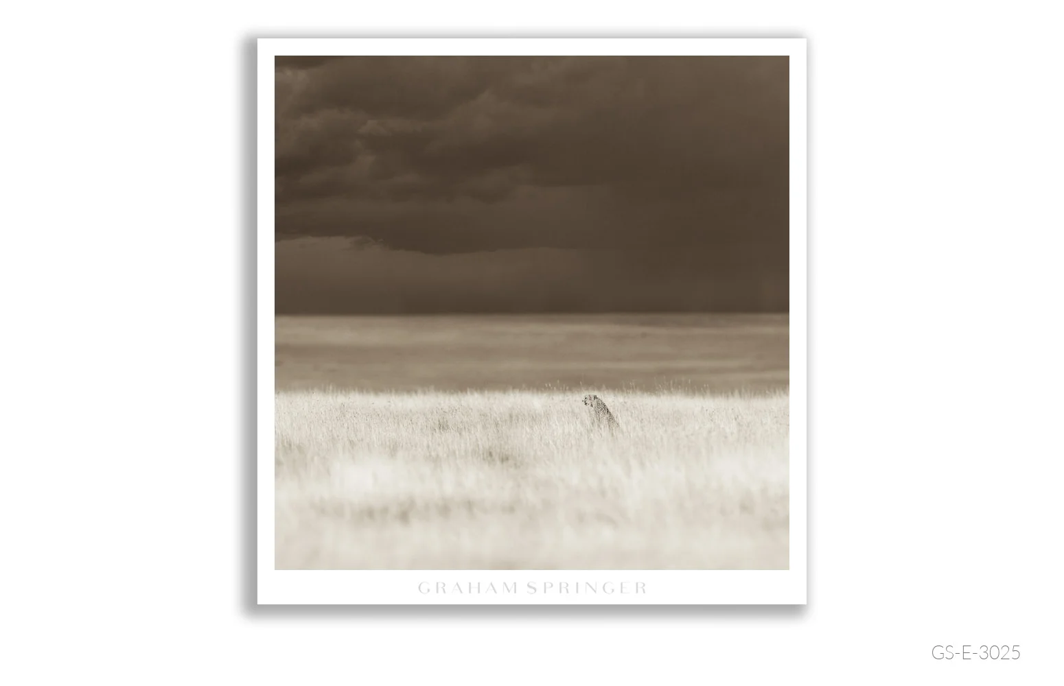 Elegy_067_GS_E_3025_Graham-Springer.jpg