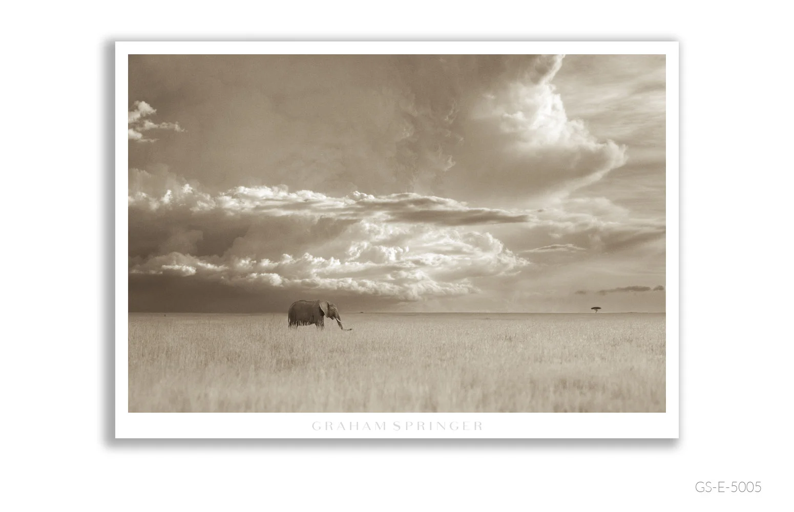 Elegy_068_GS_E_5005_Graham-Springer.jpg