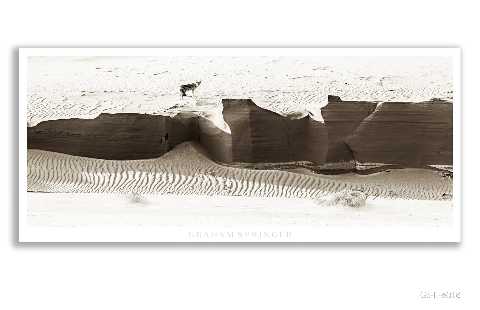 Elegy_069_GS_E_6018_Graham-Springer.jpg