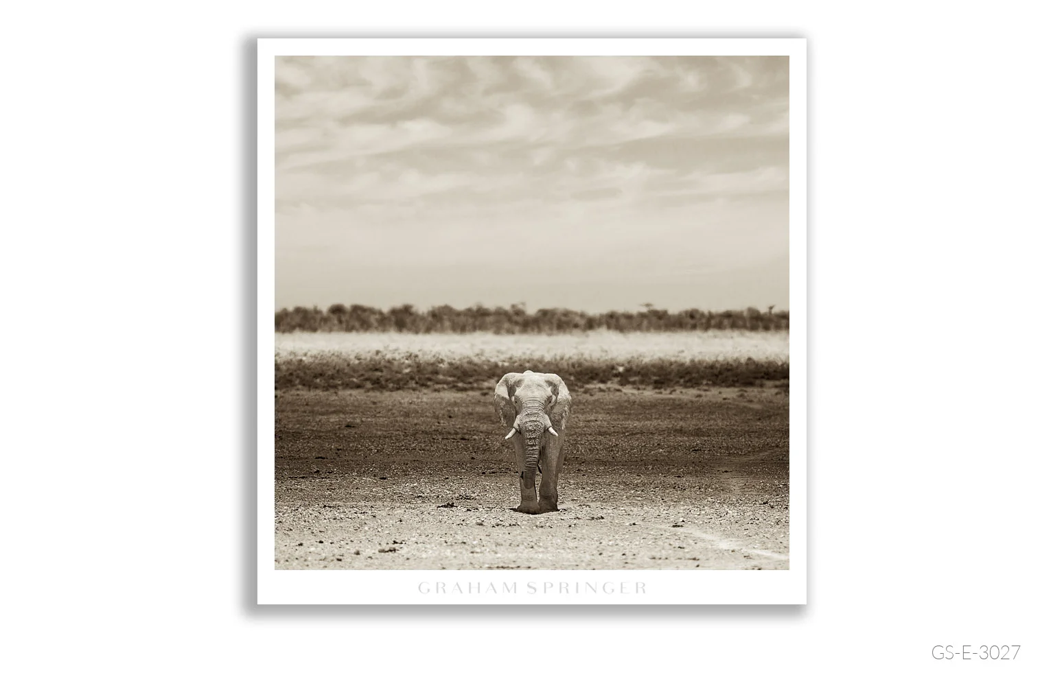 Elegy_074_GS_E_3027_Graham-Springer.jpg