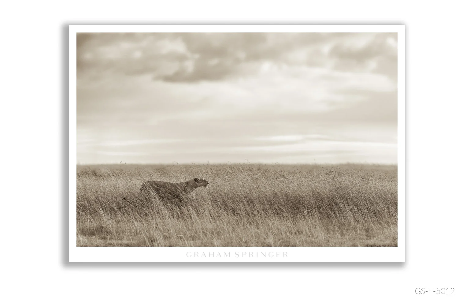 Elegy_076_GS_E_5012_Graham-Springer.jpg