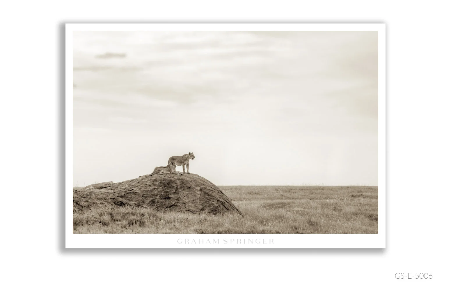 Elegy_077_GS_E_5006_Graham-Springer.jpg