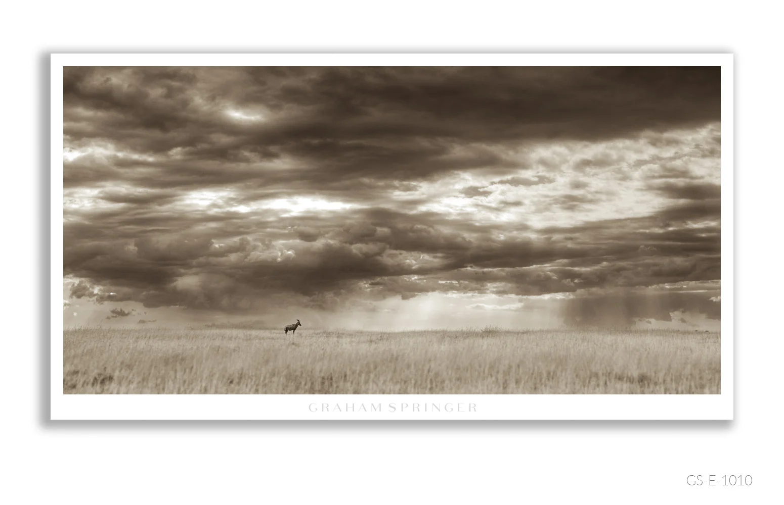 Elegy_078_GS_E_1010_Graham-Springer.jpg