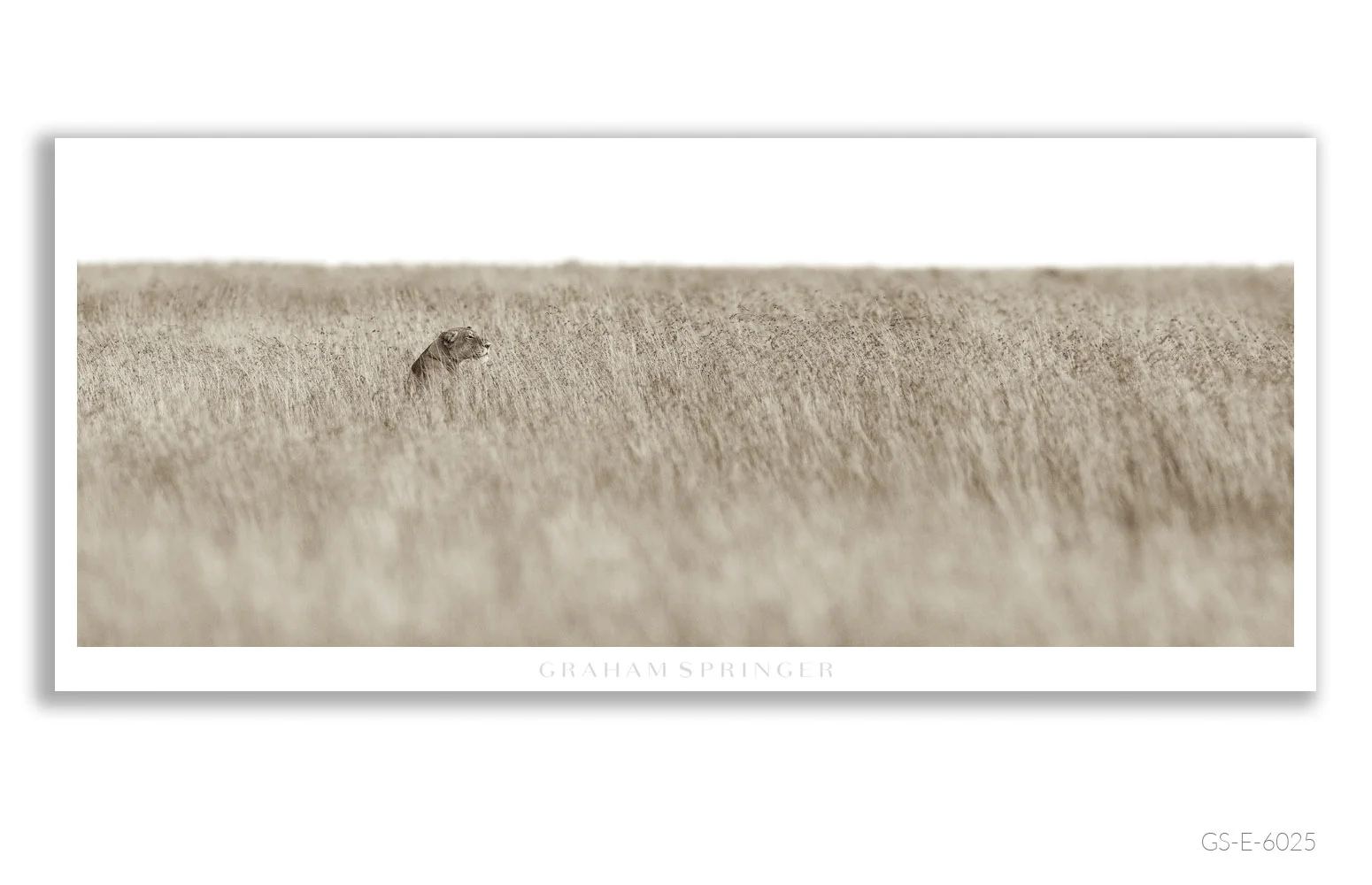 Elegy_081_GS_E_6025_Graham-Springer.jpg