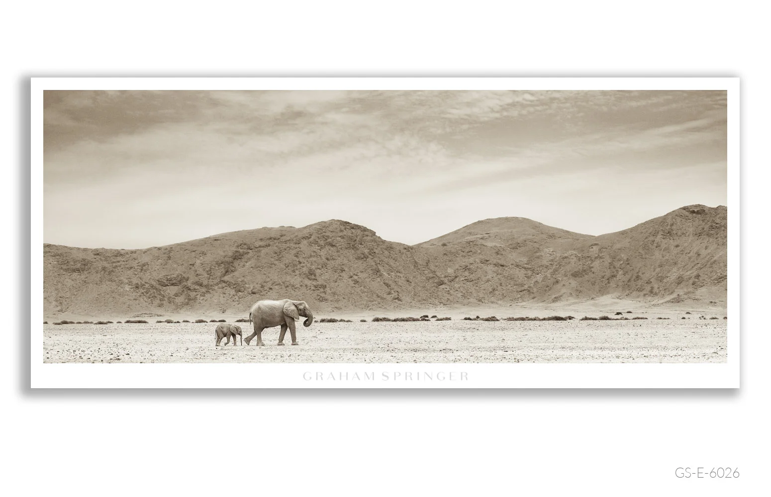 Elegy_089_GS_E_6026_Graham-Springer.jpg