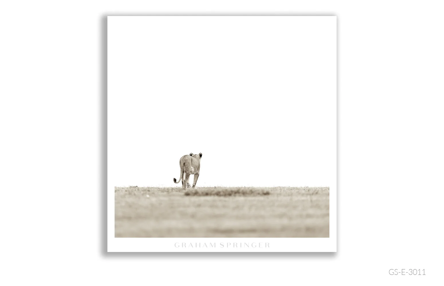 Elegy_091_GS_E_3011_Graham-Springer.jpg
