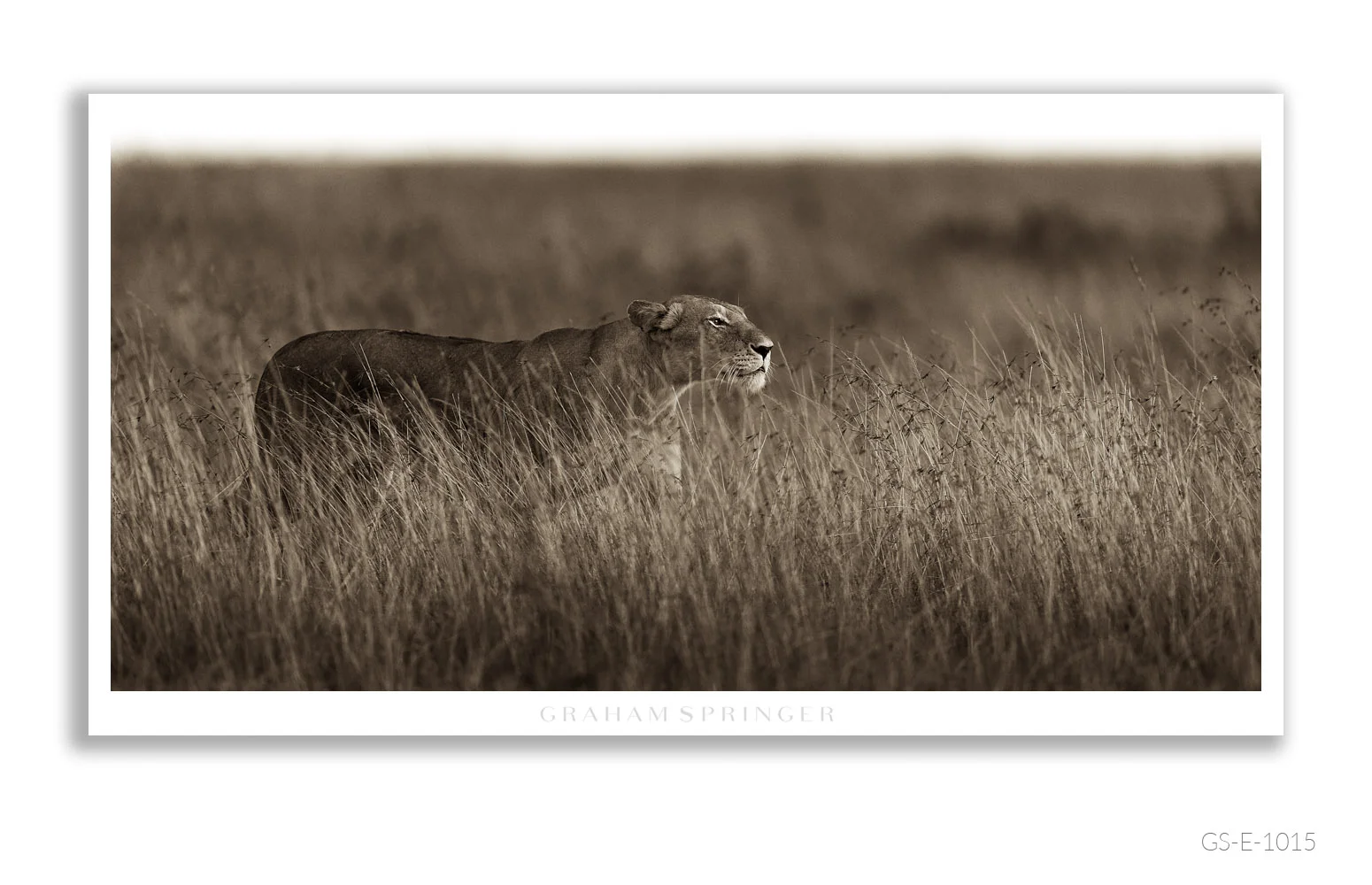 Elegy_093_GS_E_1015_Graham-Springer.jpg