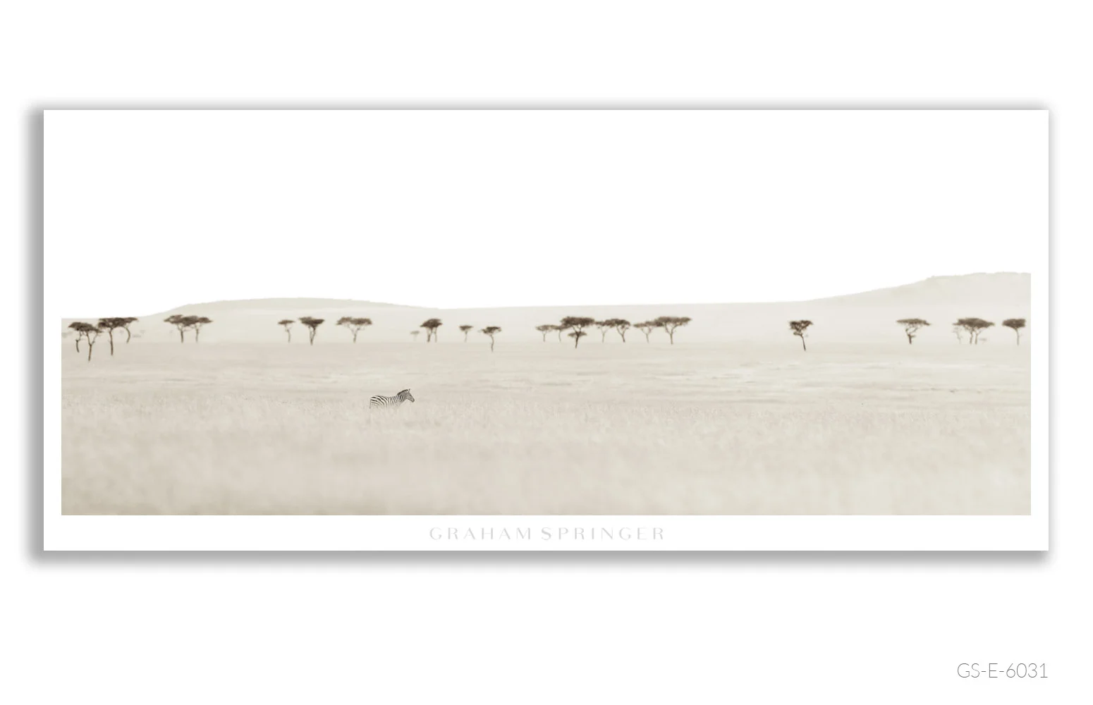 Elegy_099_GS_E_6031_Graham-Springer.jpg