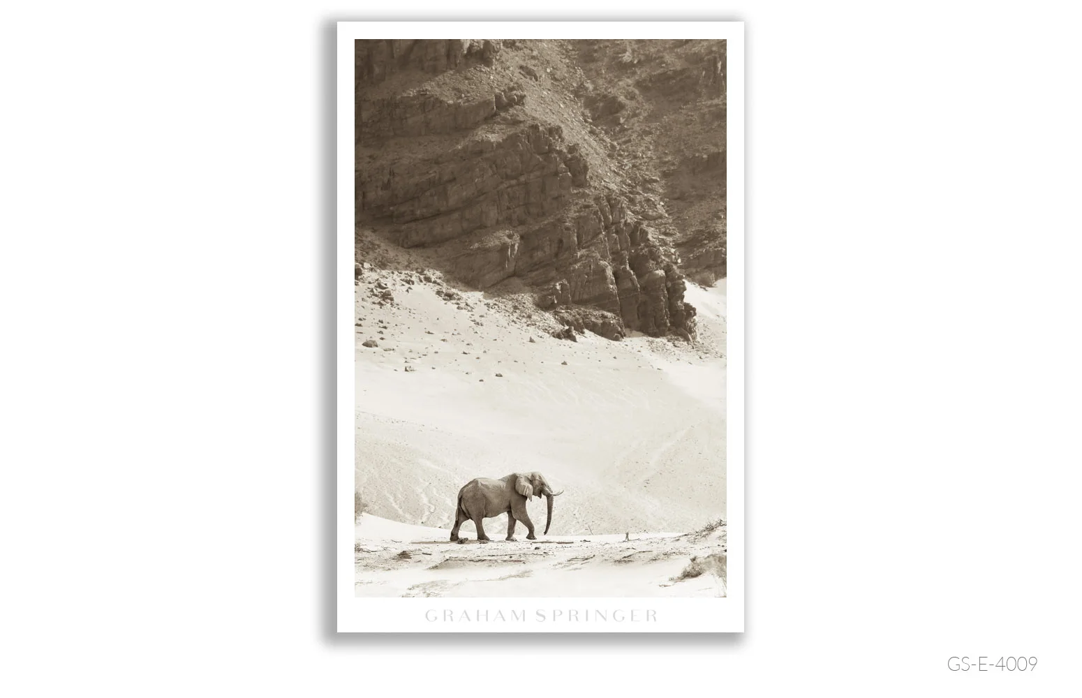 Elegy_105_GS_E_4009_Graham-Springer.jpg