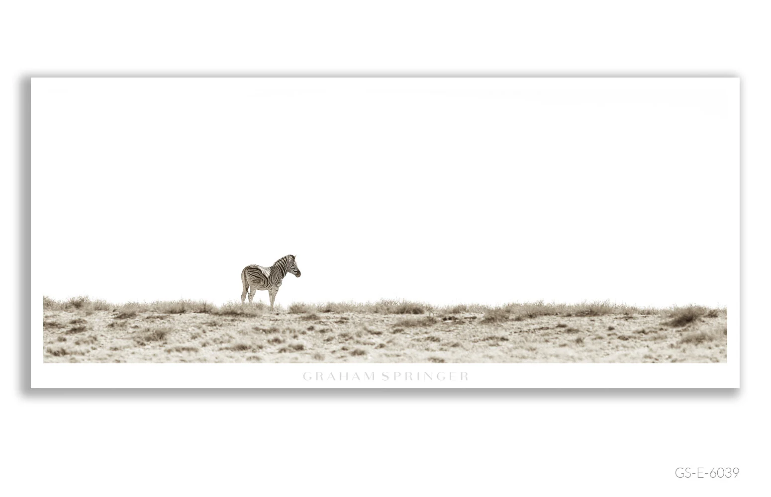 Elegy_115_GS_E_6039_Graham-Springer.jpg