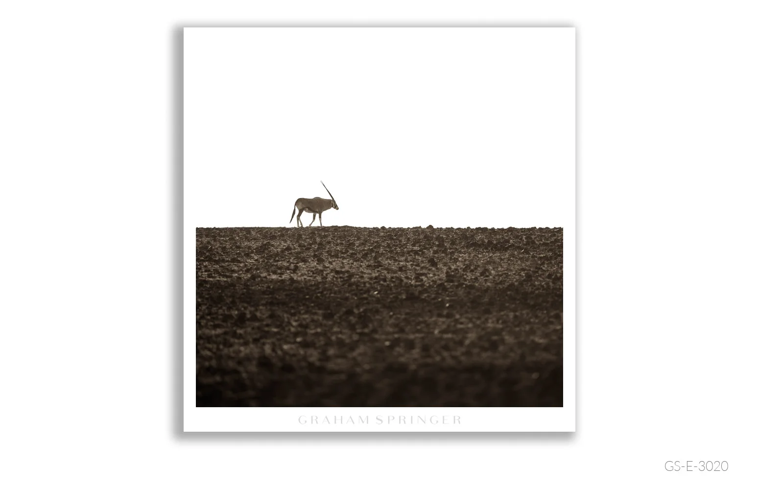 Elegy_118_GS_E_3020_Graham-Springer.jpg