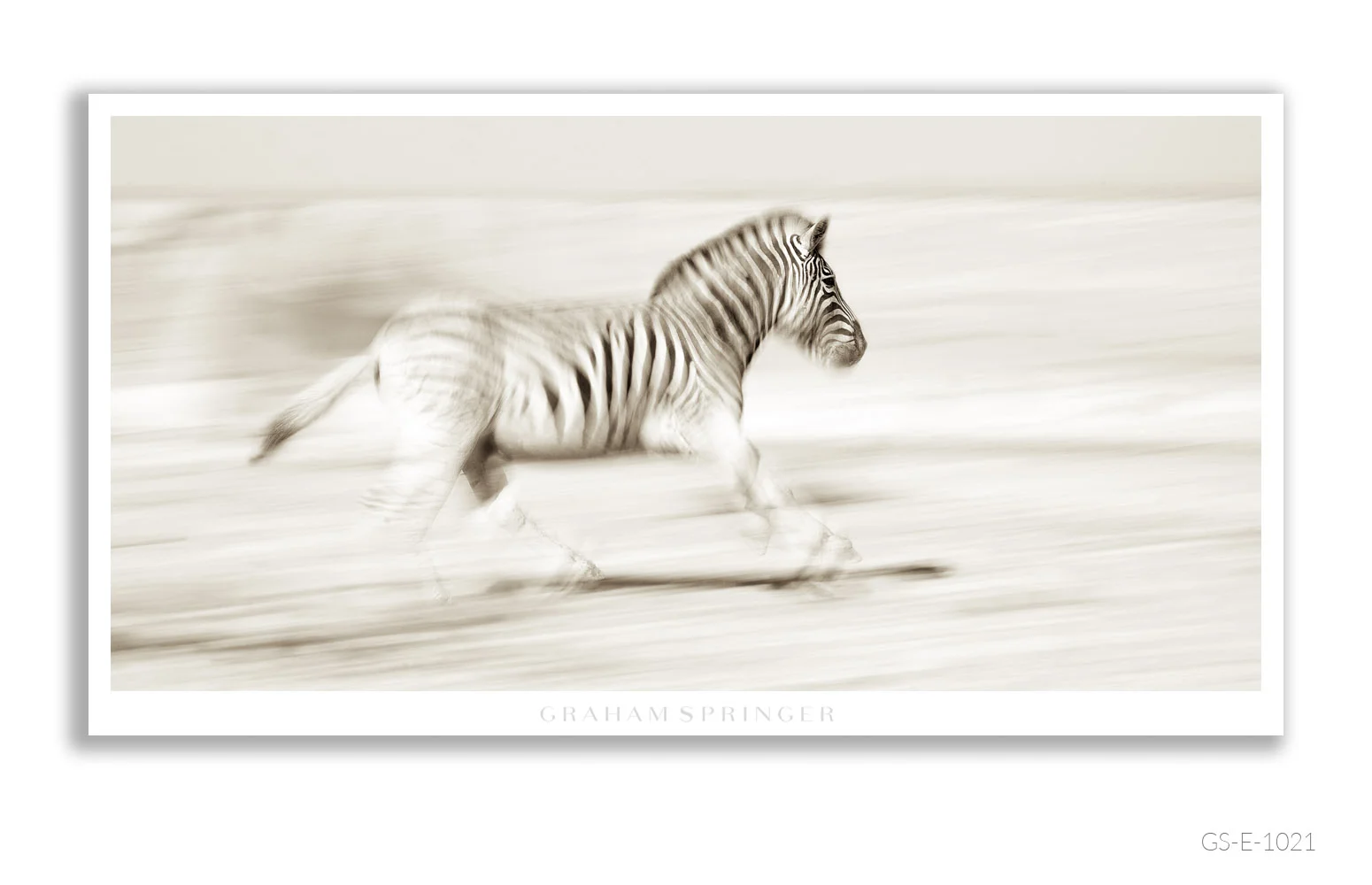 Elegy_119_GS_E_1021_Graham-Springer.jpg