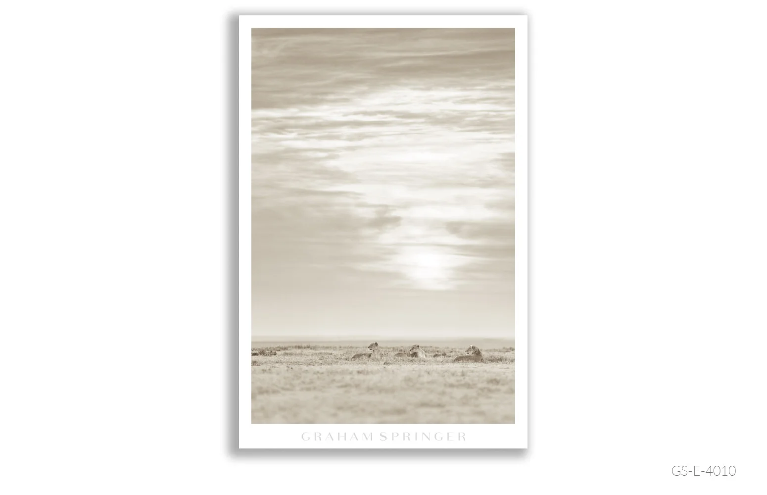 Elegy_120_GS_E_4010_Graham-Springer.jpg