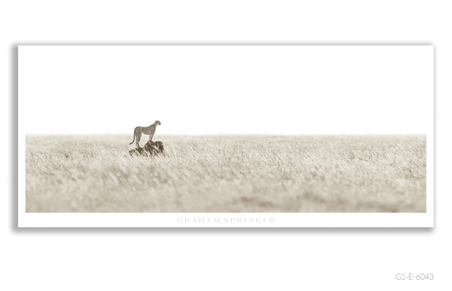 Elegy_125_GS_E_6043_Graham-Springer.jpg