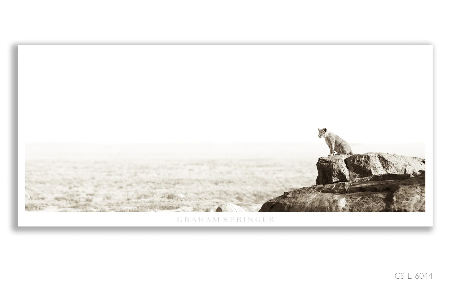 Elegy_127_GS_E_6044_Graham-Springer.jpg
