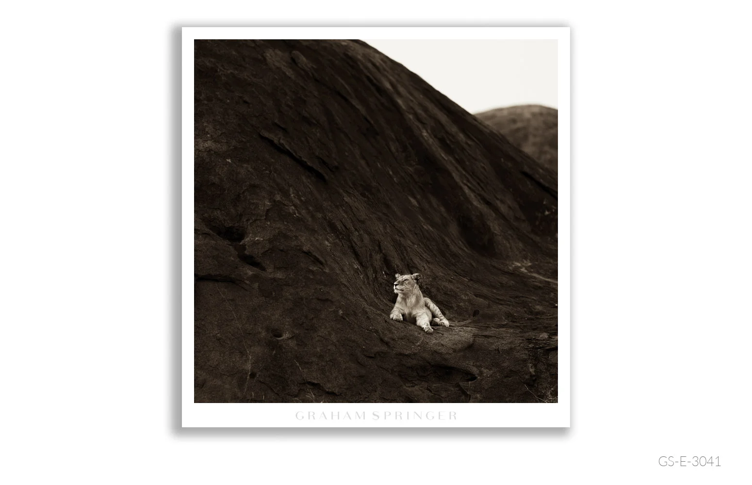 Elegy_132_GS_E_3041_Graham-Springer.jpg