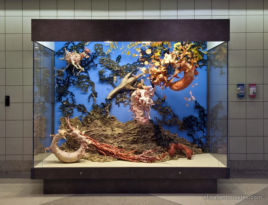 My Ocean