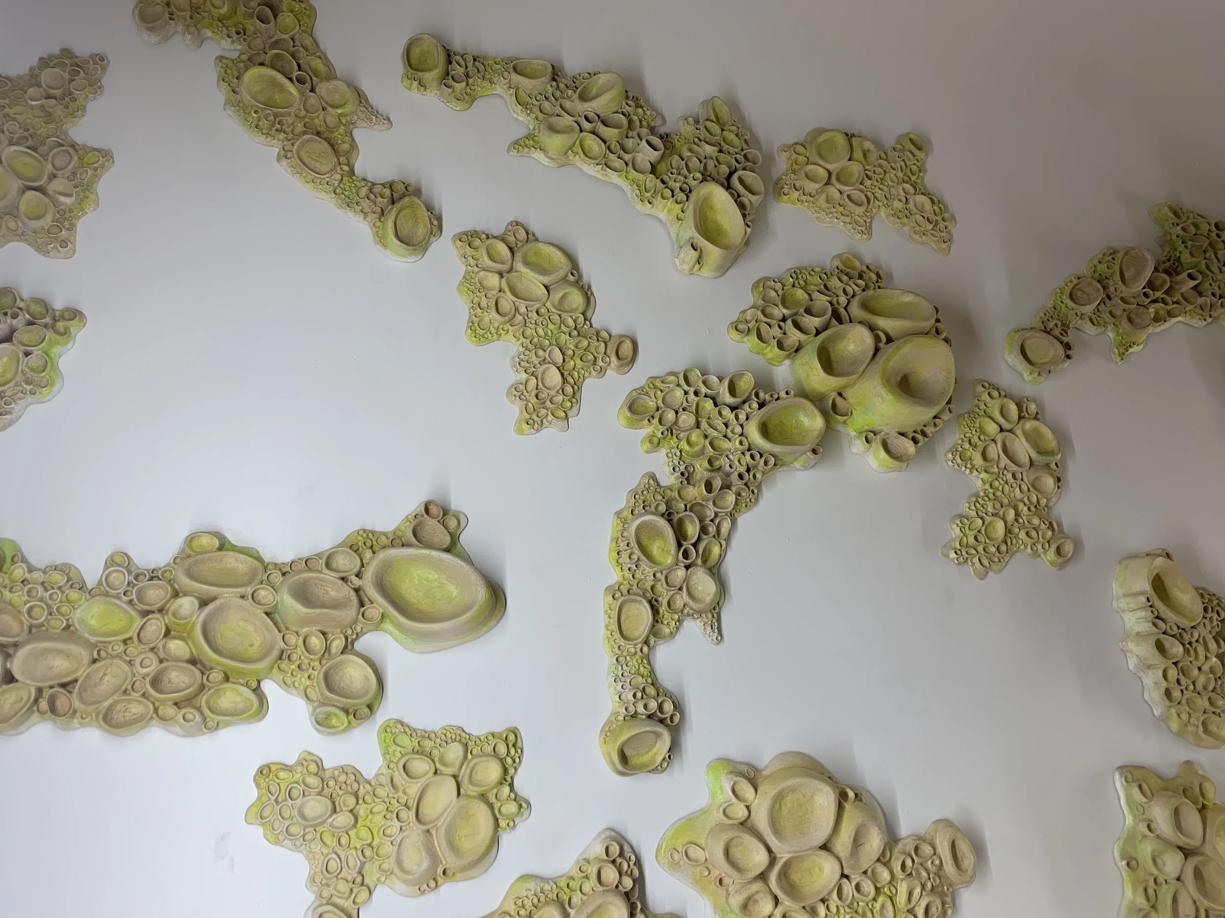 Auris Main piece.jpeg