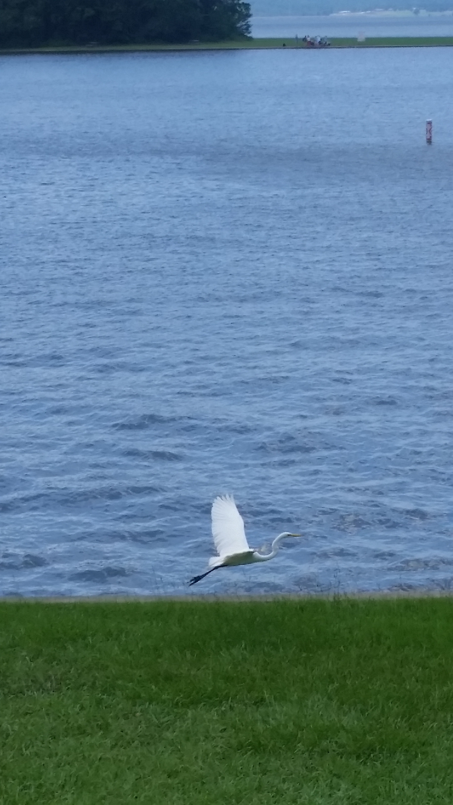 20160629_124309.jpg