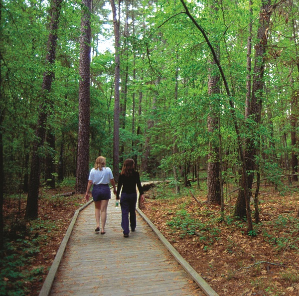 Piney Woods_Kathy Adams Clark_walkers_disc 2_37383_8bt.jpg