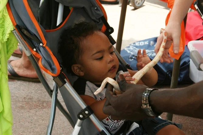 6596 young herpetologist.JPG