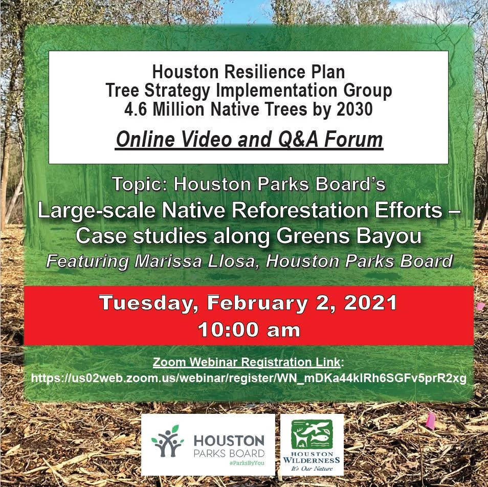 4 6 Million Trees By 2030 Goal Houston Wilderness