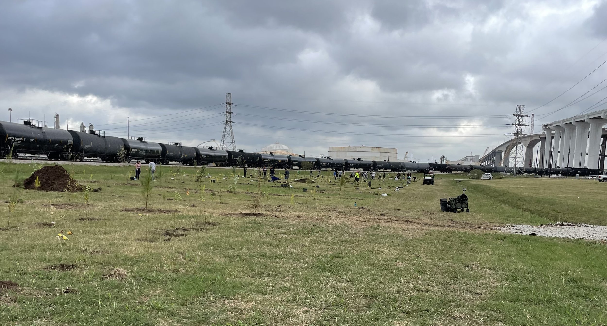 On-site HSC TREES planting at KMI DPRT site (Nov 4 2022).jpg