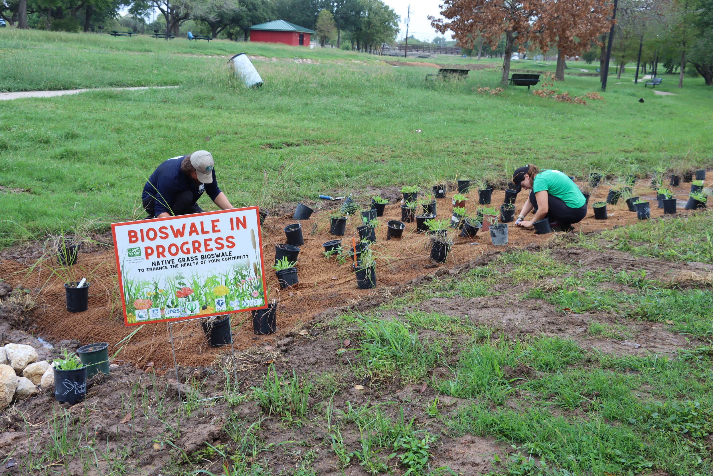 Bioswale in Progress Action Shot 2.JPG