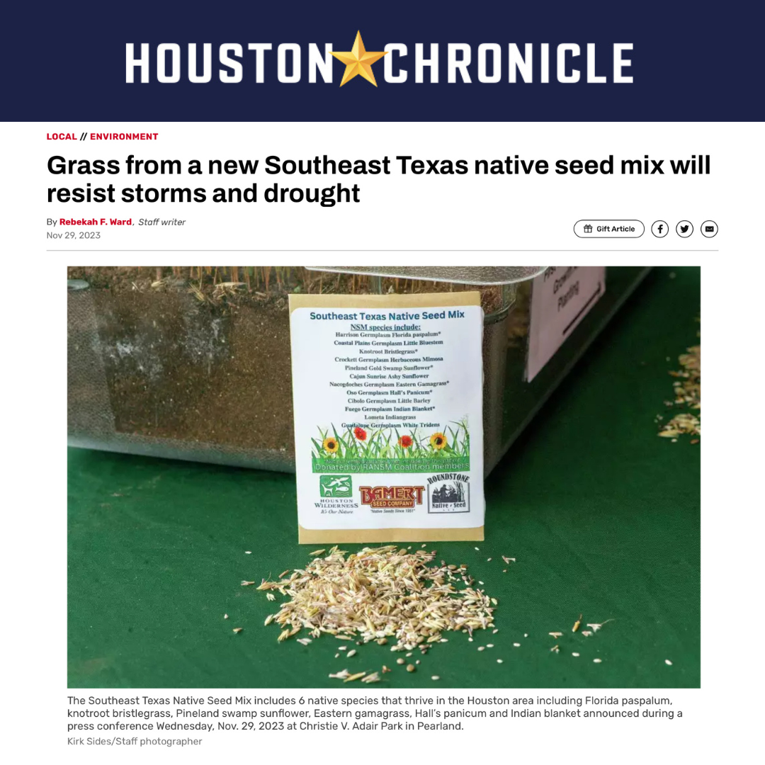 Houston Chronicle Web Feature Nov. 30, 2023.png