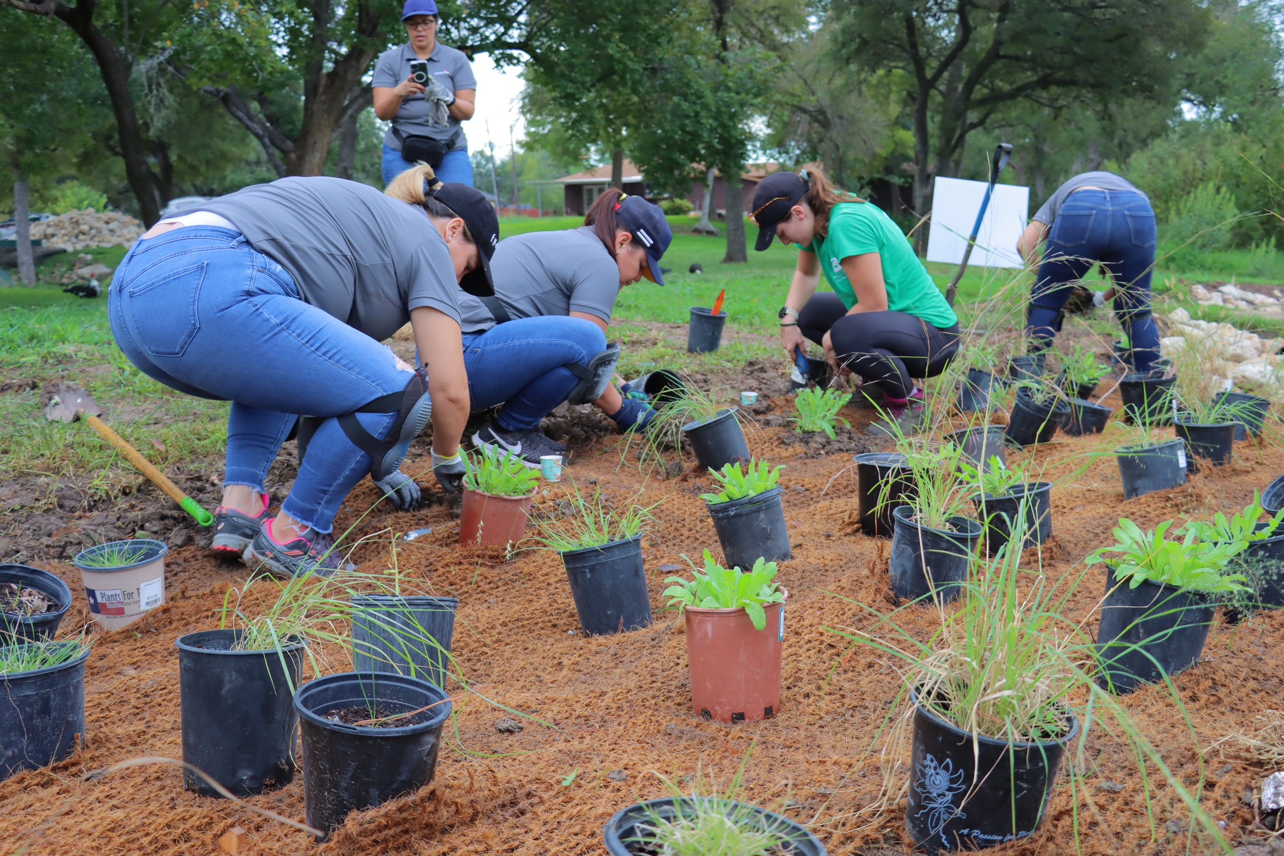 Volunteers and plants.JPG