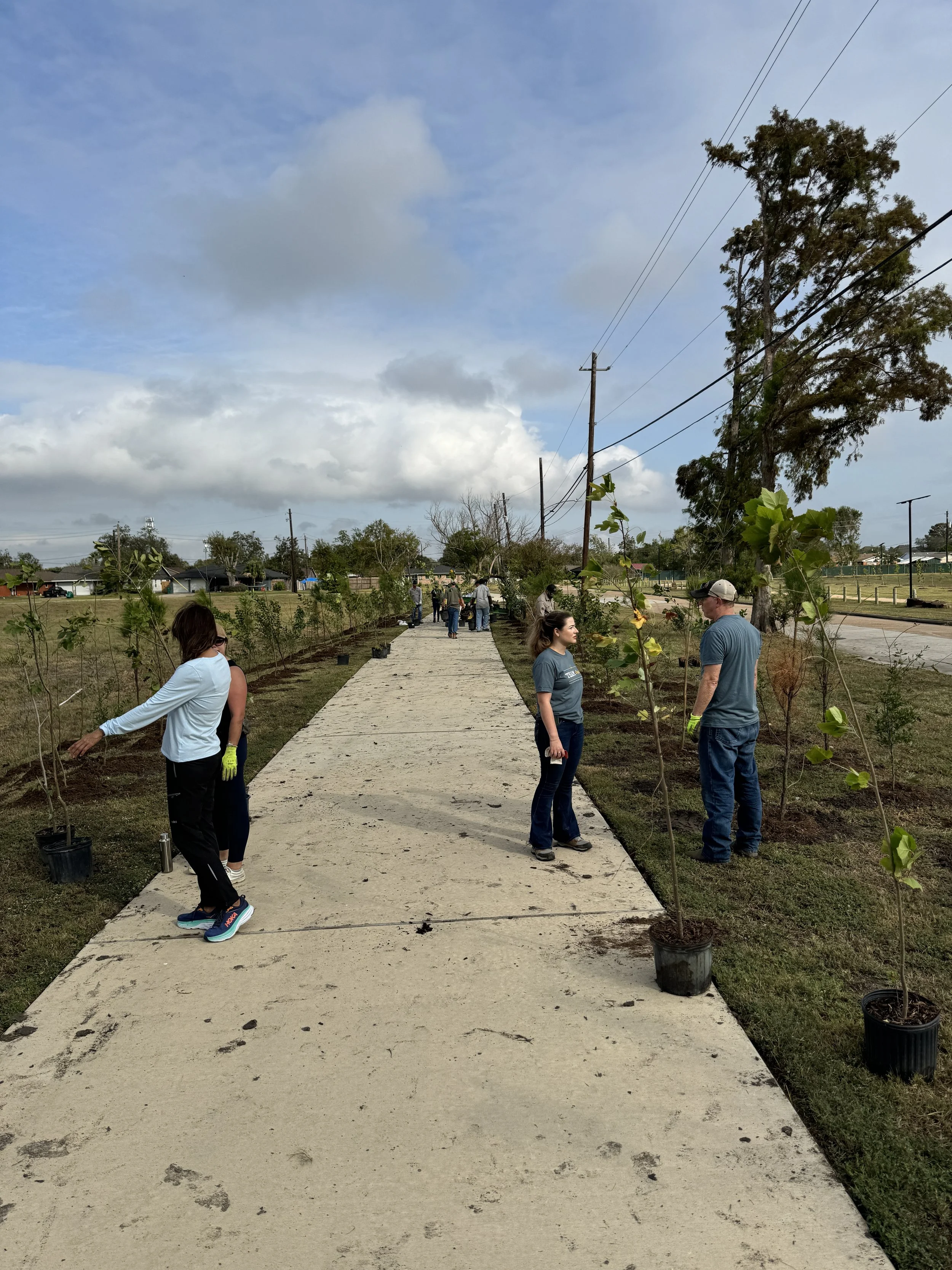 TUBs #22 (Partnership Park) Super Trees Planting.JPG