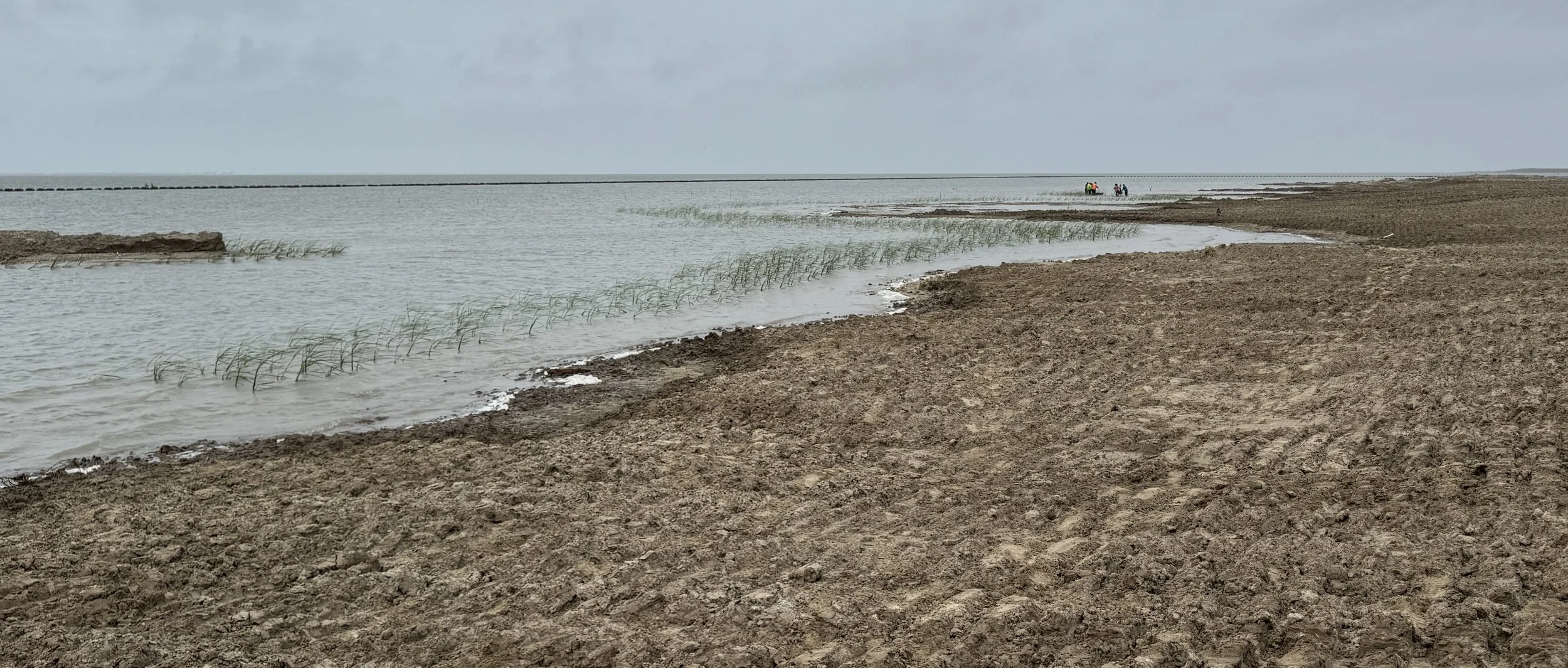 West Galv Bay BUDM Island Project 1.jpeg