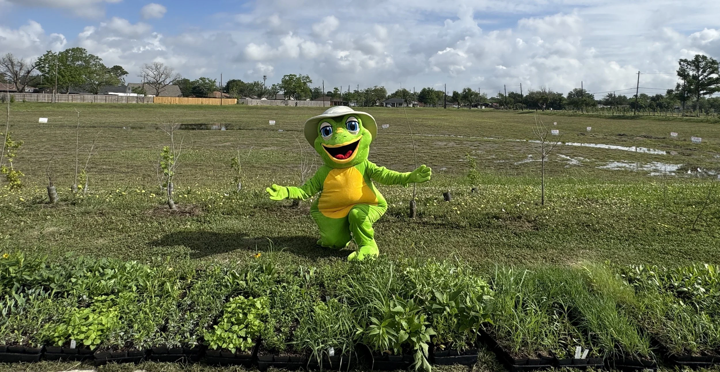 Hoppi with grass plugs (April 2026).jpg