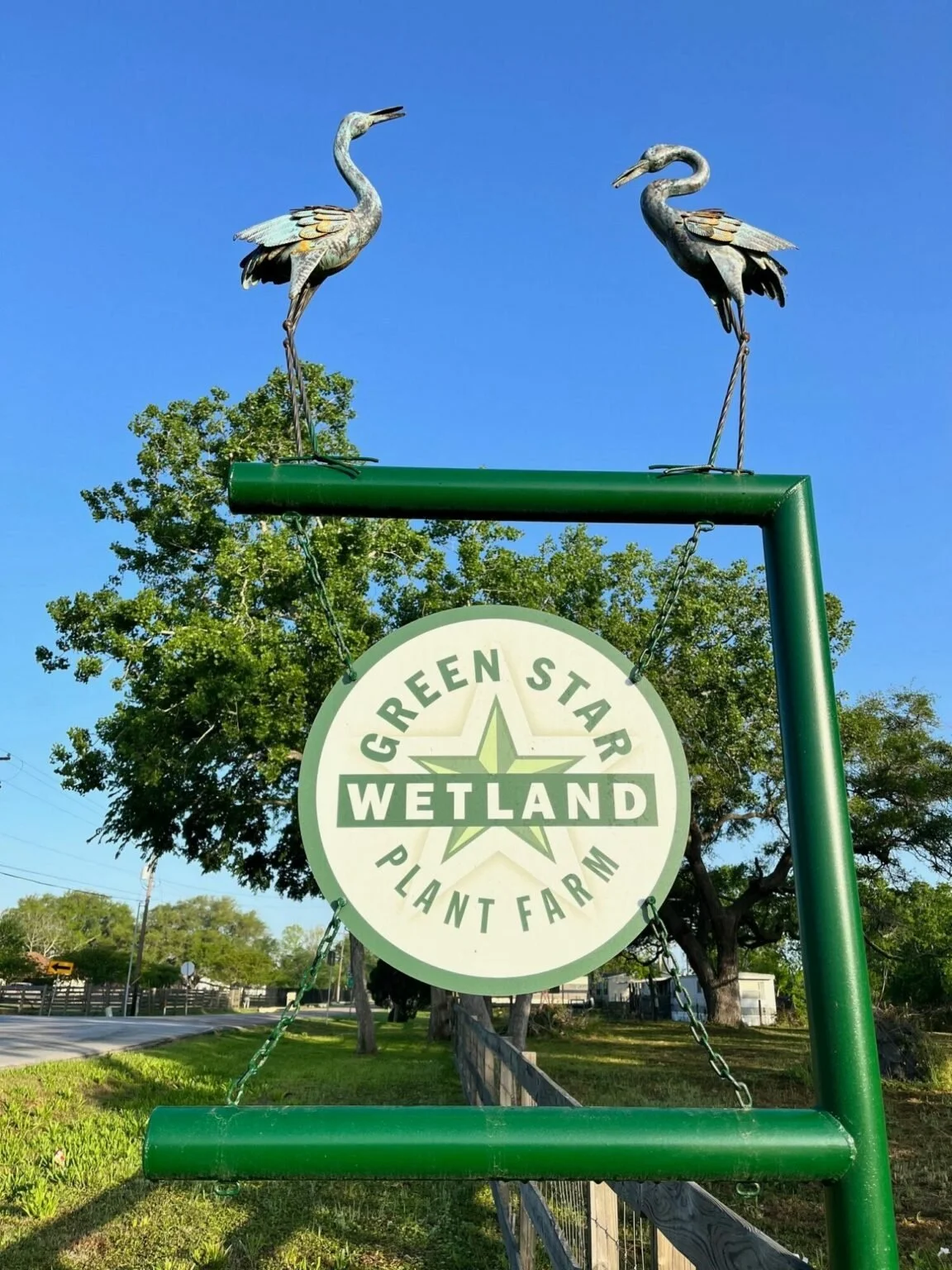 Green Star nursery 2.jpg