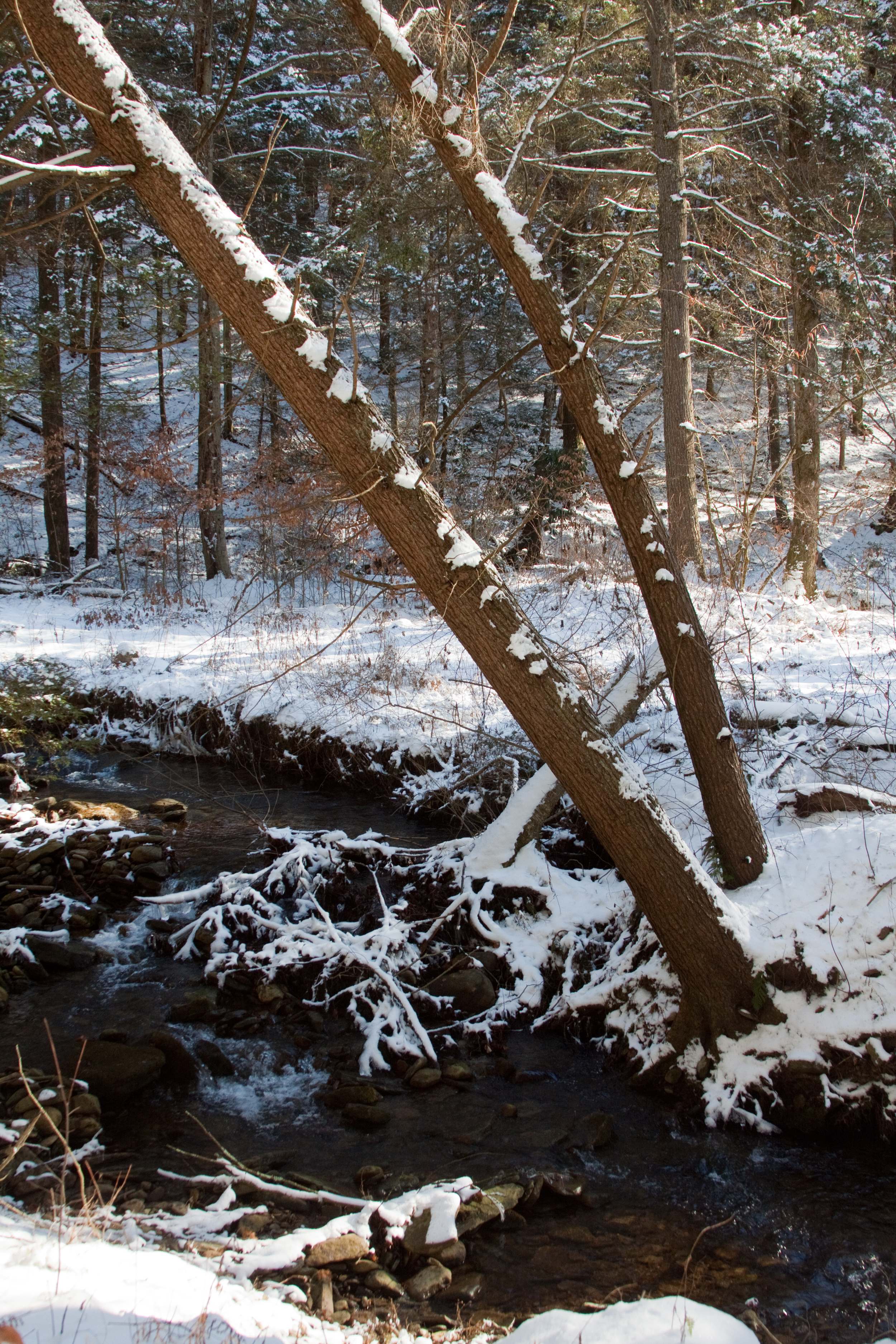 jf_12282013_0055.jpg