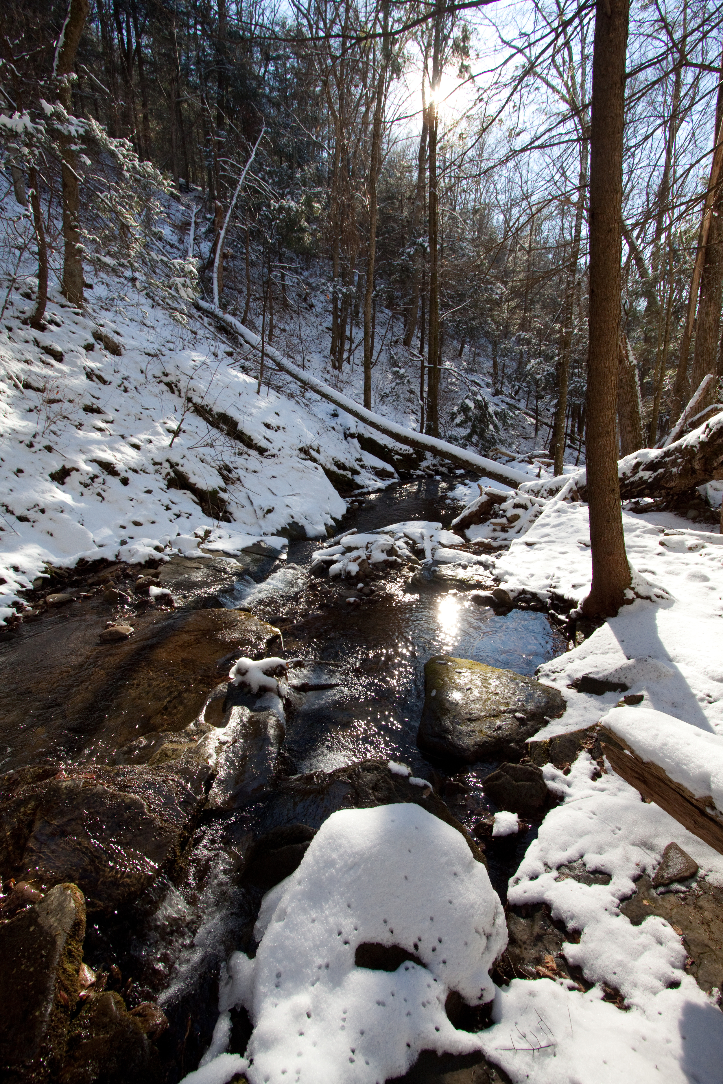 jf_12282013_0103.jpg