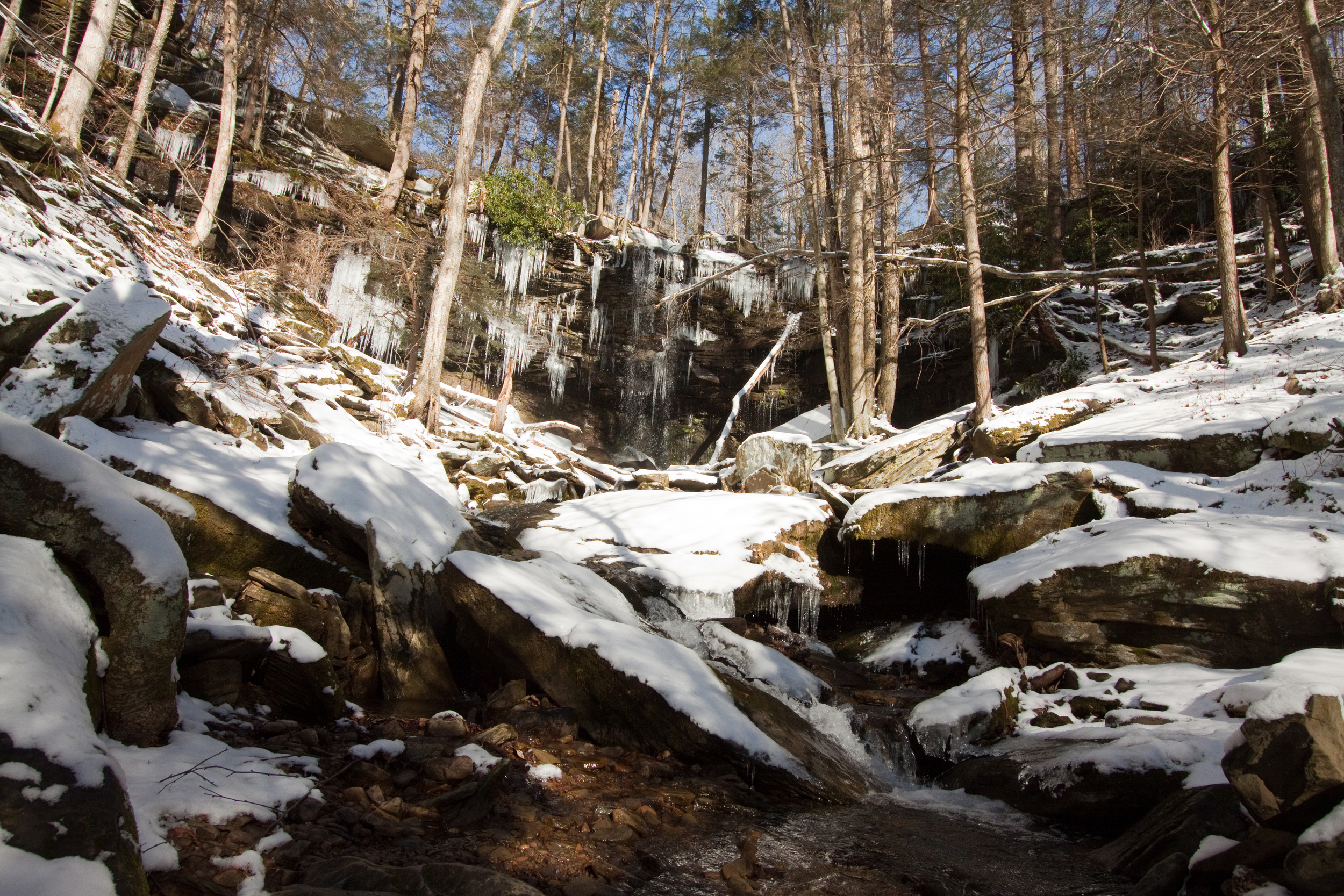 jf_12282013_0107.jpg